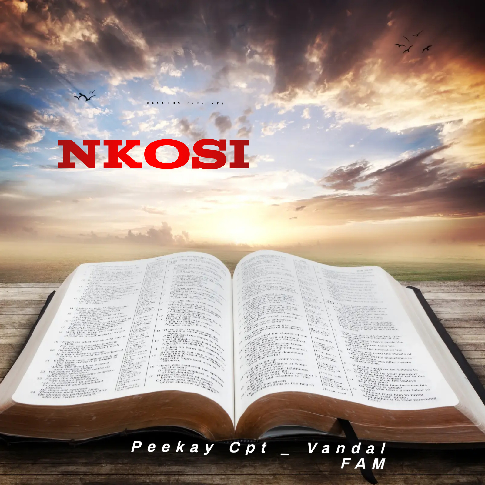 Nkosi - Peekay Cpt _ Vandal Fam